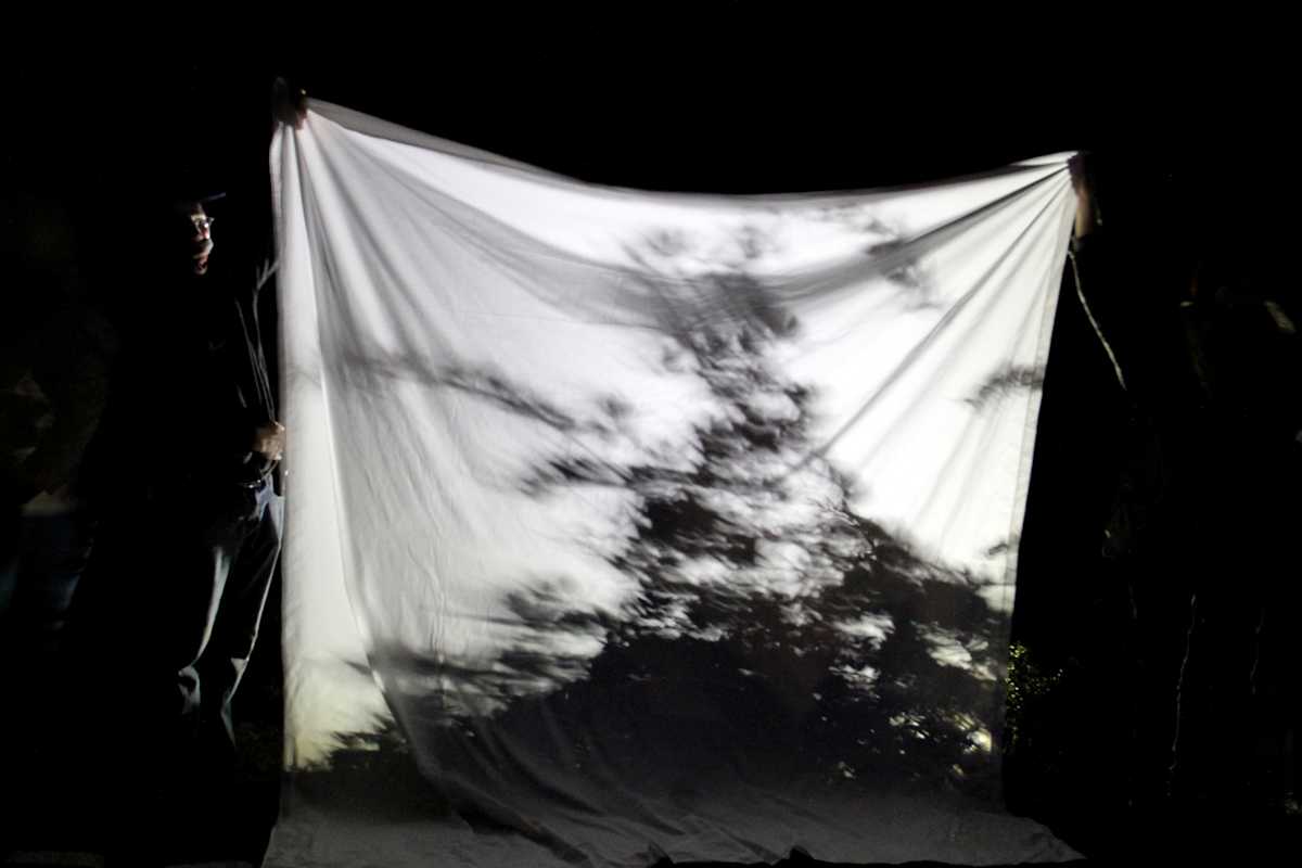 Nature Shadow by Marcus Neustetter, Image 1.