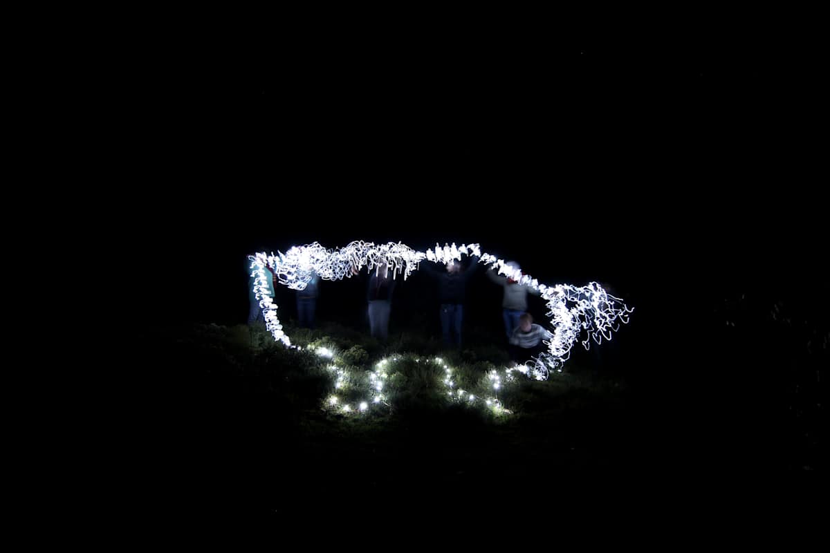 Night Creatures II by Marcus Neustetter, Image 1.