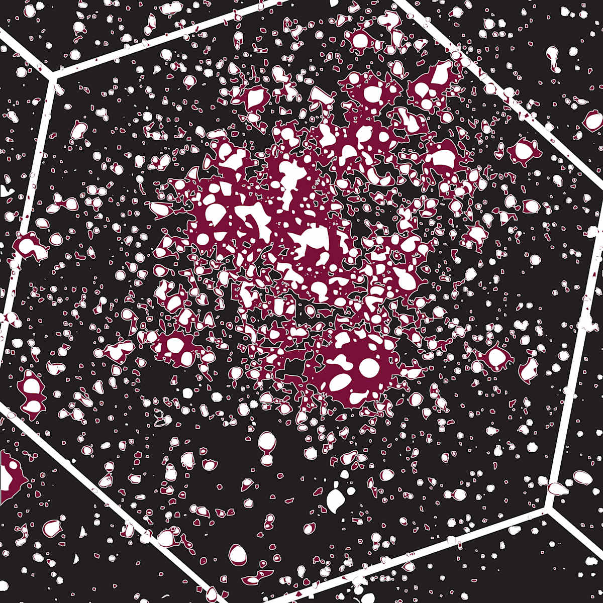 SALT Mirror Data Capture by Marcus Neustetter, Image 1.