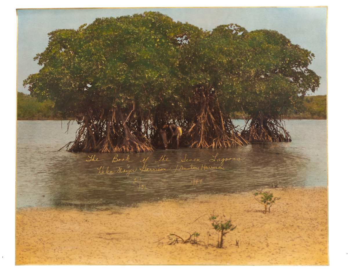 Hero image for Book of the Lagoons.