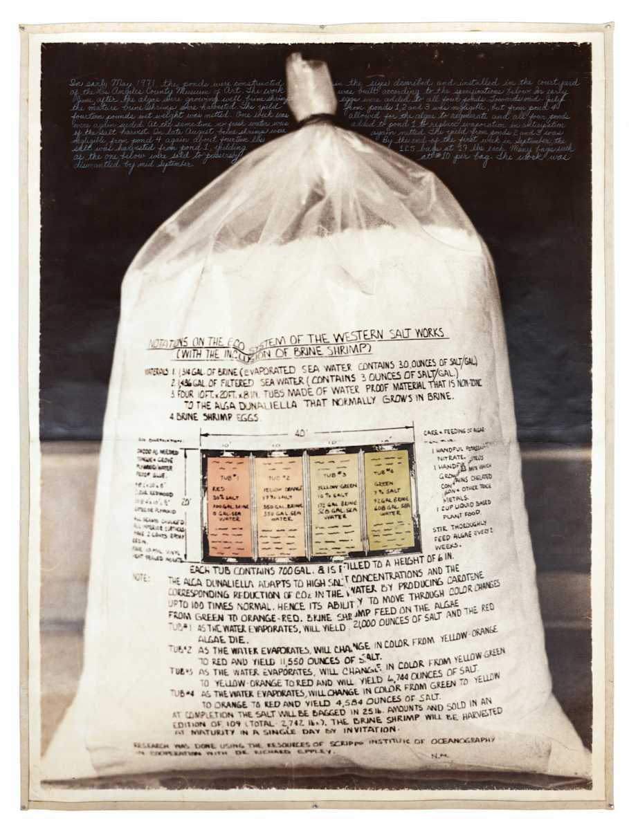Salt Bag and Harvested in 1971 by Harrison Studio, Image 1.