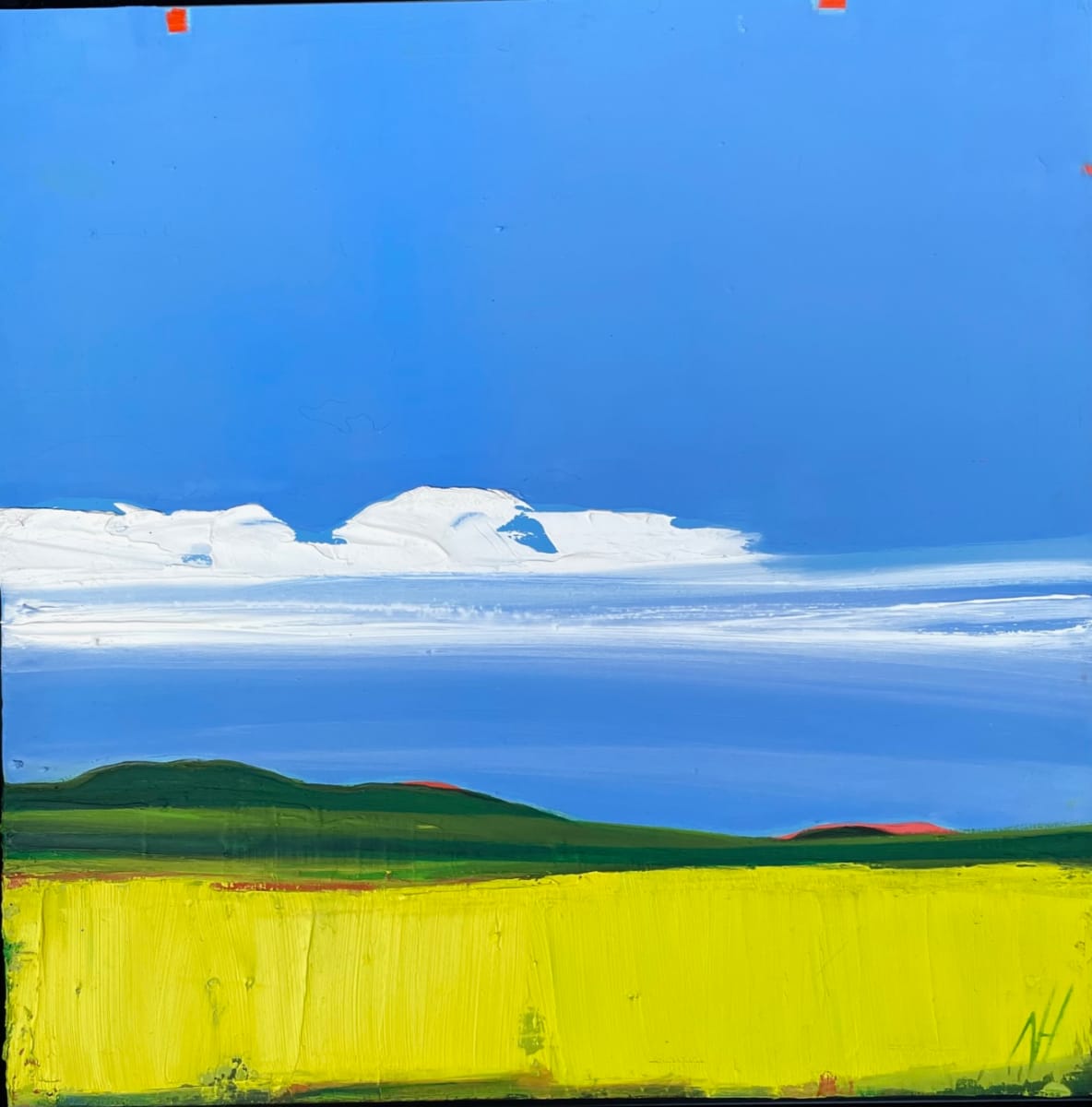 Yellow Fields by Nancy B. Hartley 