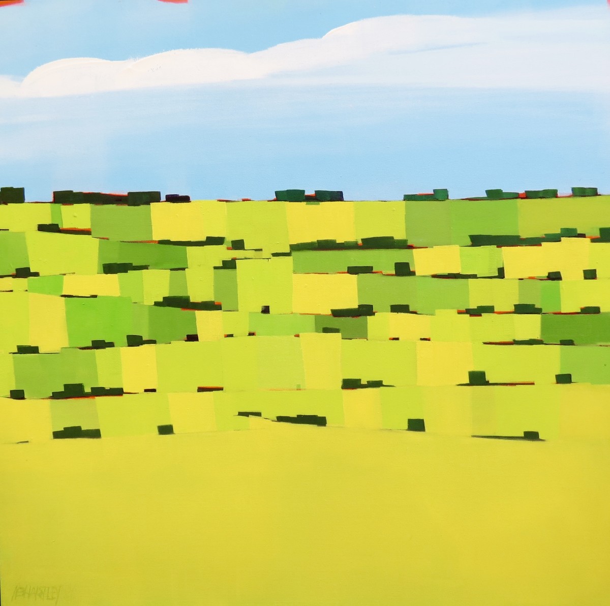 Green Meadow by Nancy B. Hartley 