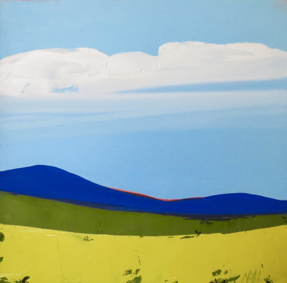 By The Sky by Nancy B. Hartley 