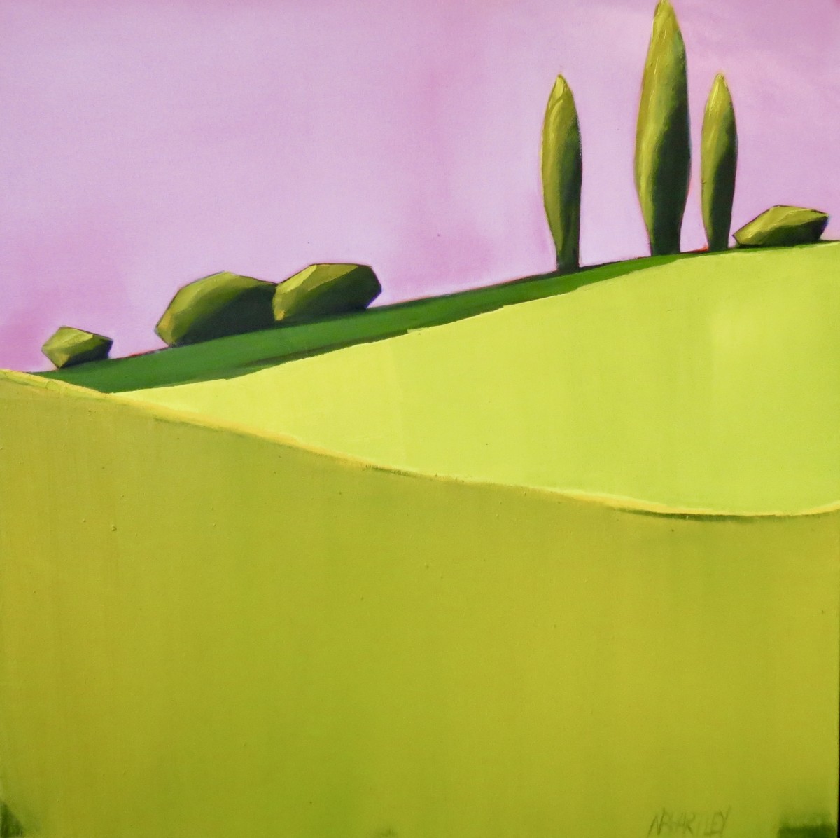 Pink Sky Above by Nancy B. Hartley 