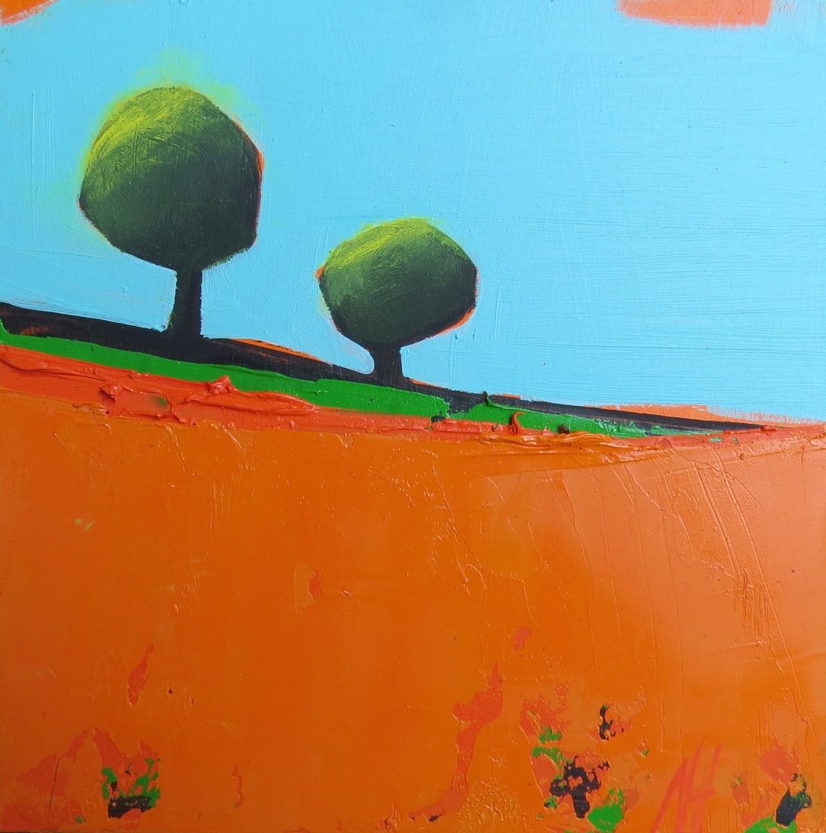 The Duet by Nancy B. Hartley 