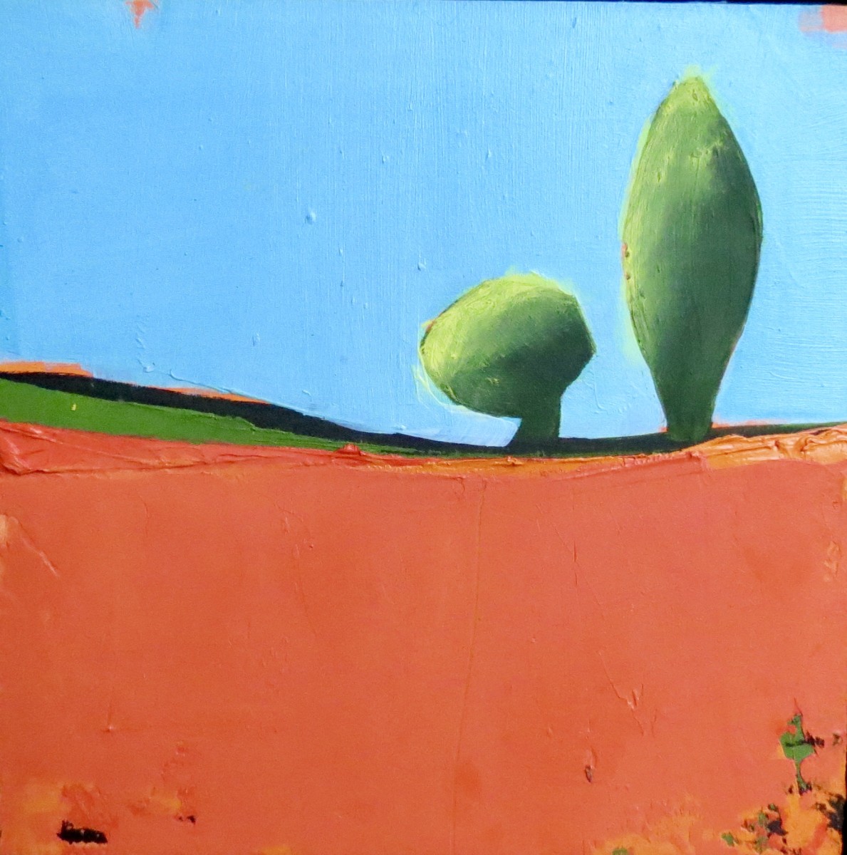 Summer Glow  by Nancy B. Hartley 