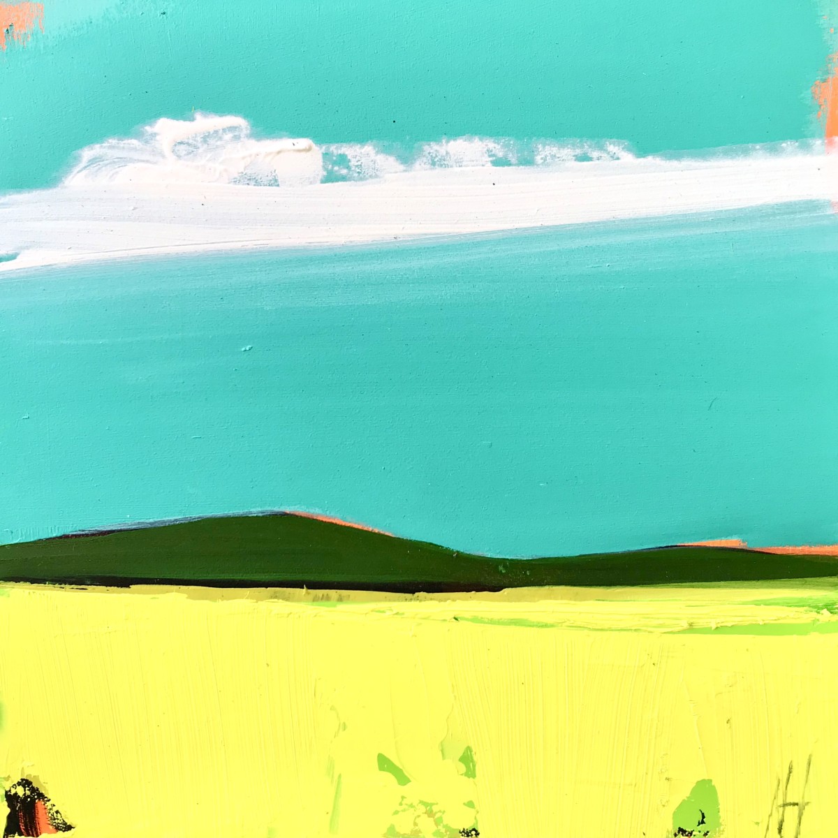 Happy Meadow by Nancy B. Hartley 