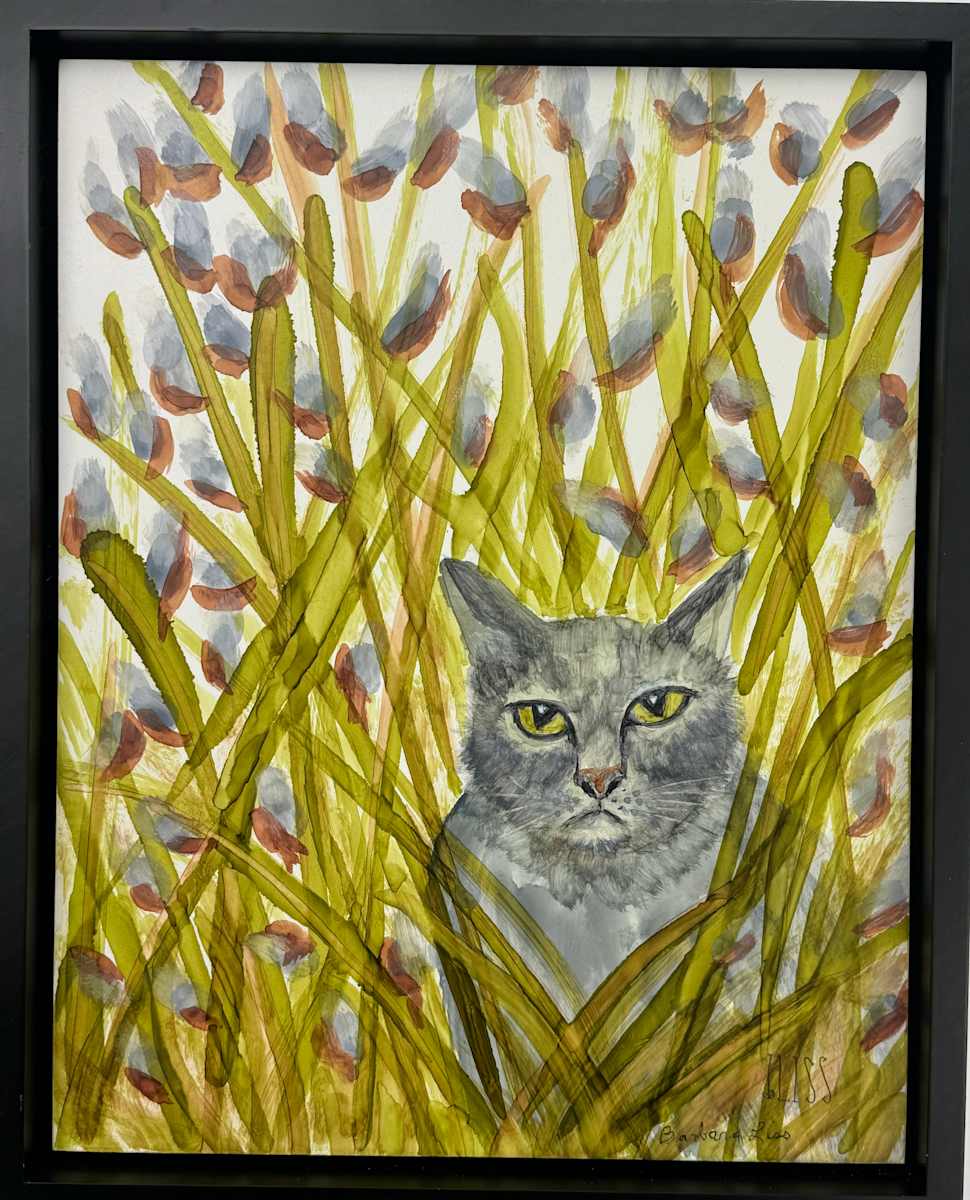 Grumpy cat by Barbara Liss 