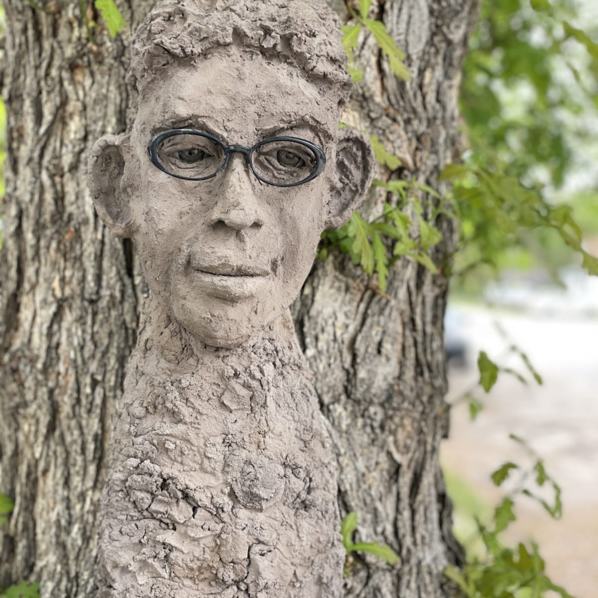 Taking it Under Advisement by Barbara Liss 