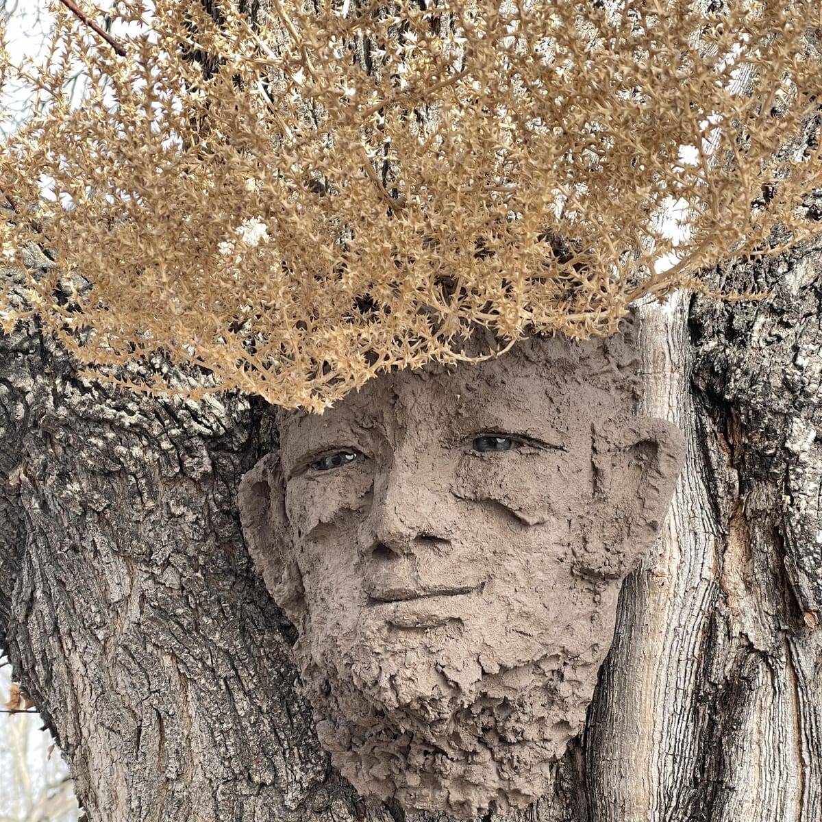 Tumbleweed by Barbara Liss 
