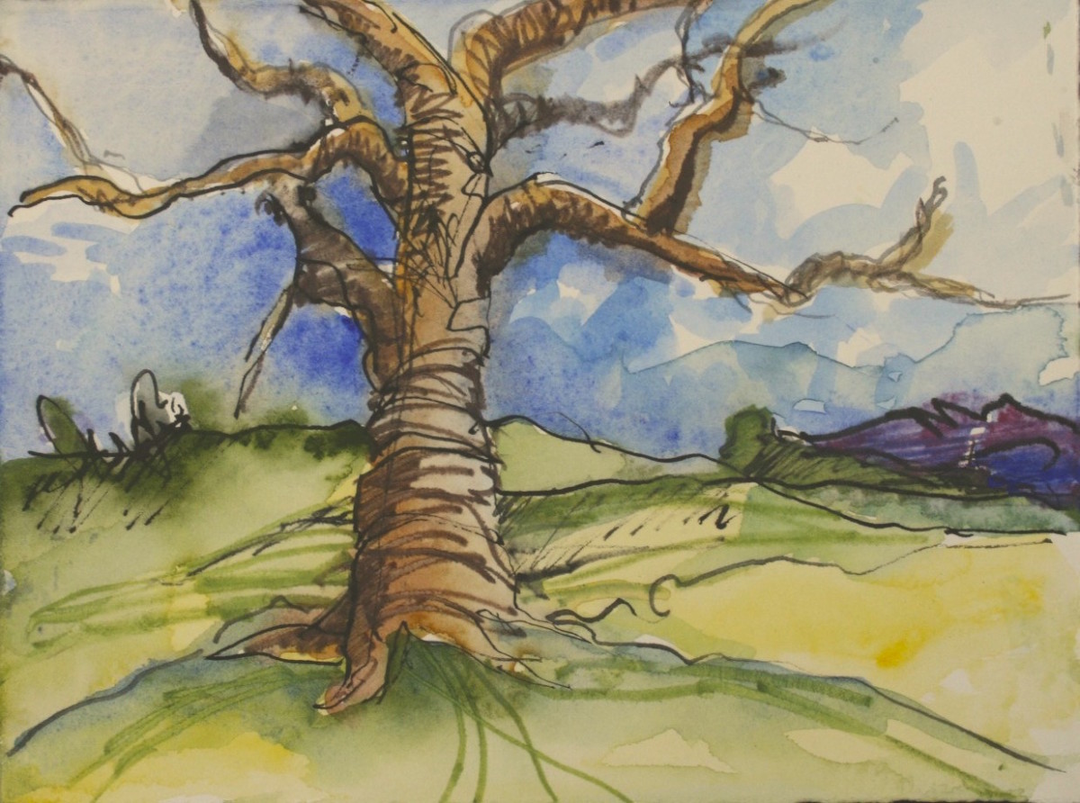 wise old tree by beth vendryes williams 