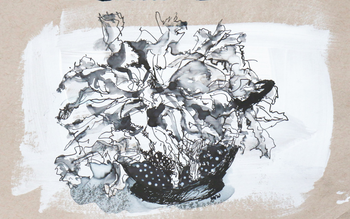 lettuce-in -colander by beth vendryes williams 