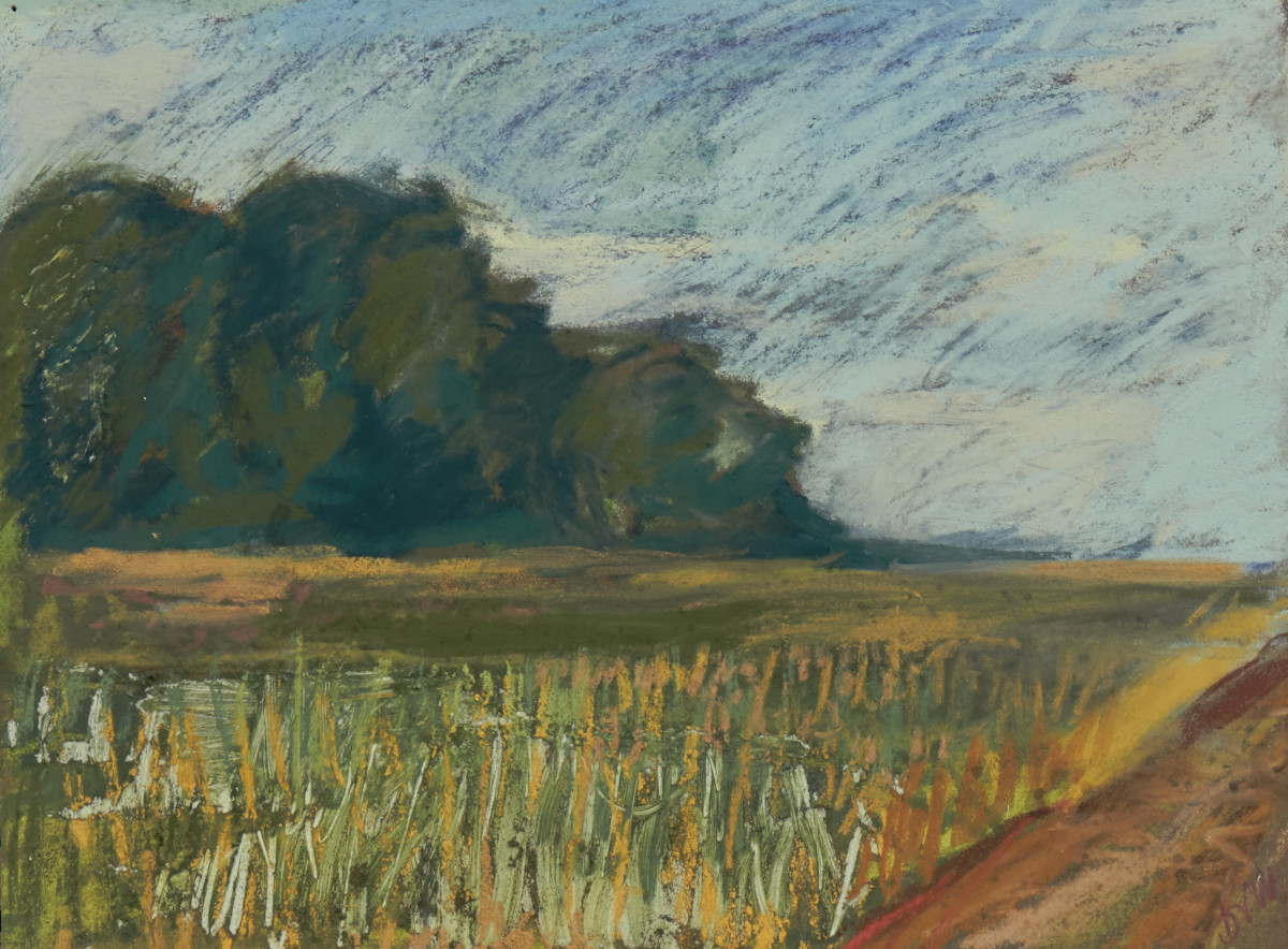 greenport by the sea by beth vendryes williams 