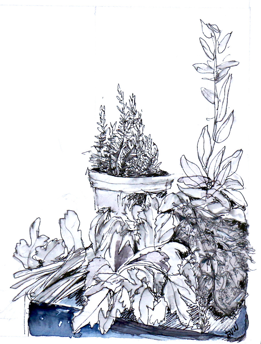 herbs on deck by beth vendryes williams, Image 1.