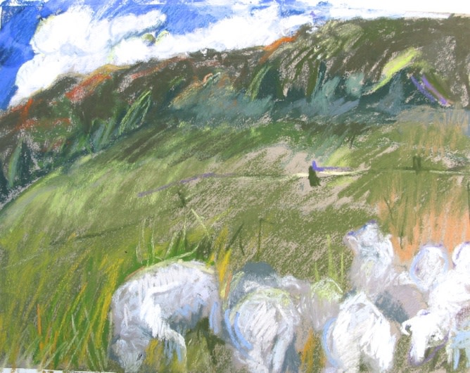 watching sheep (clouds) by beth vendryes williams 