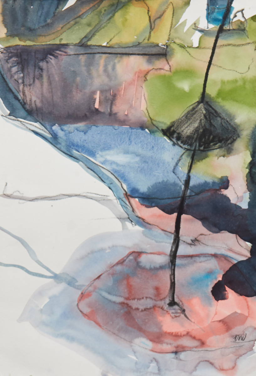 garden for birds by beth vendryes williams 