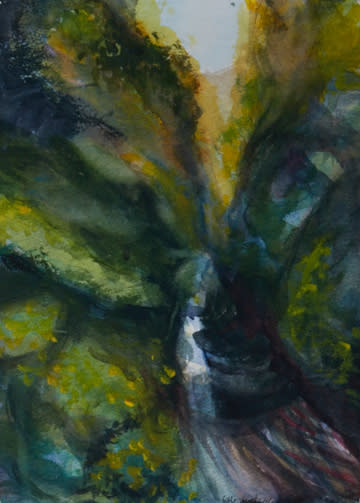 ithaca gorges by beth vendryes williams 