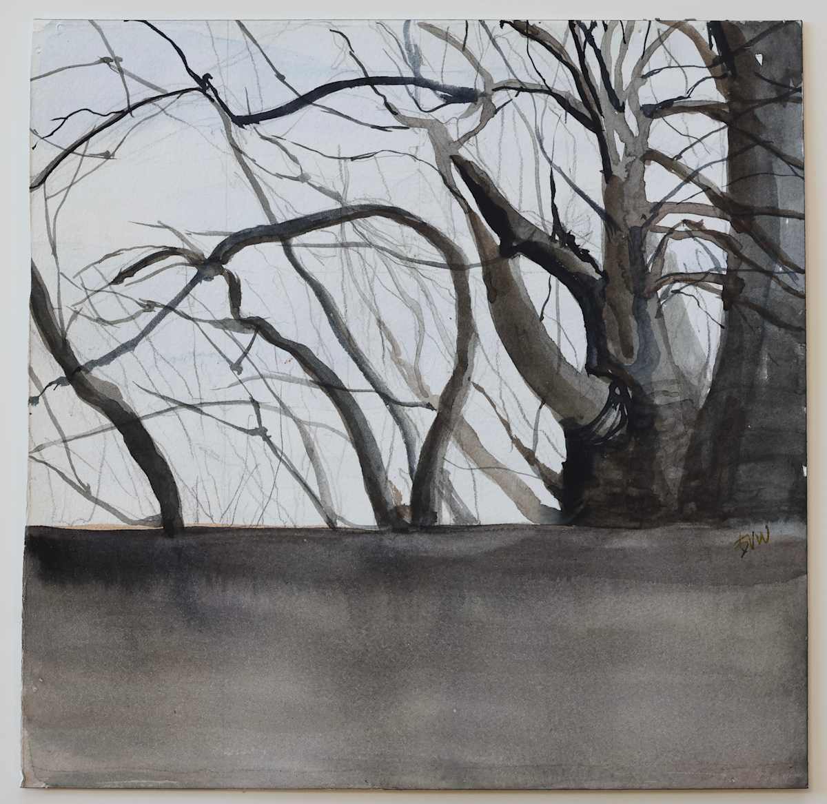 Chasing Light by beth vendryes williams, Image 1.