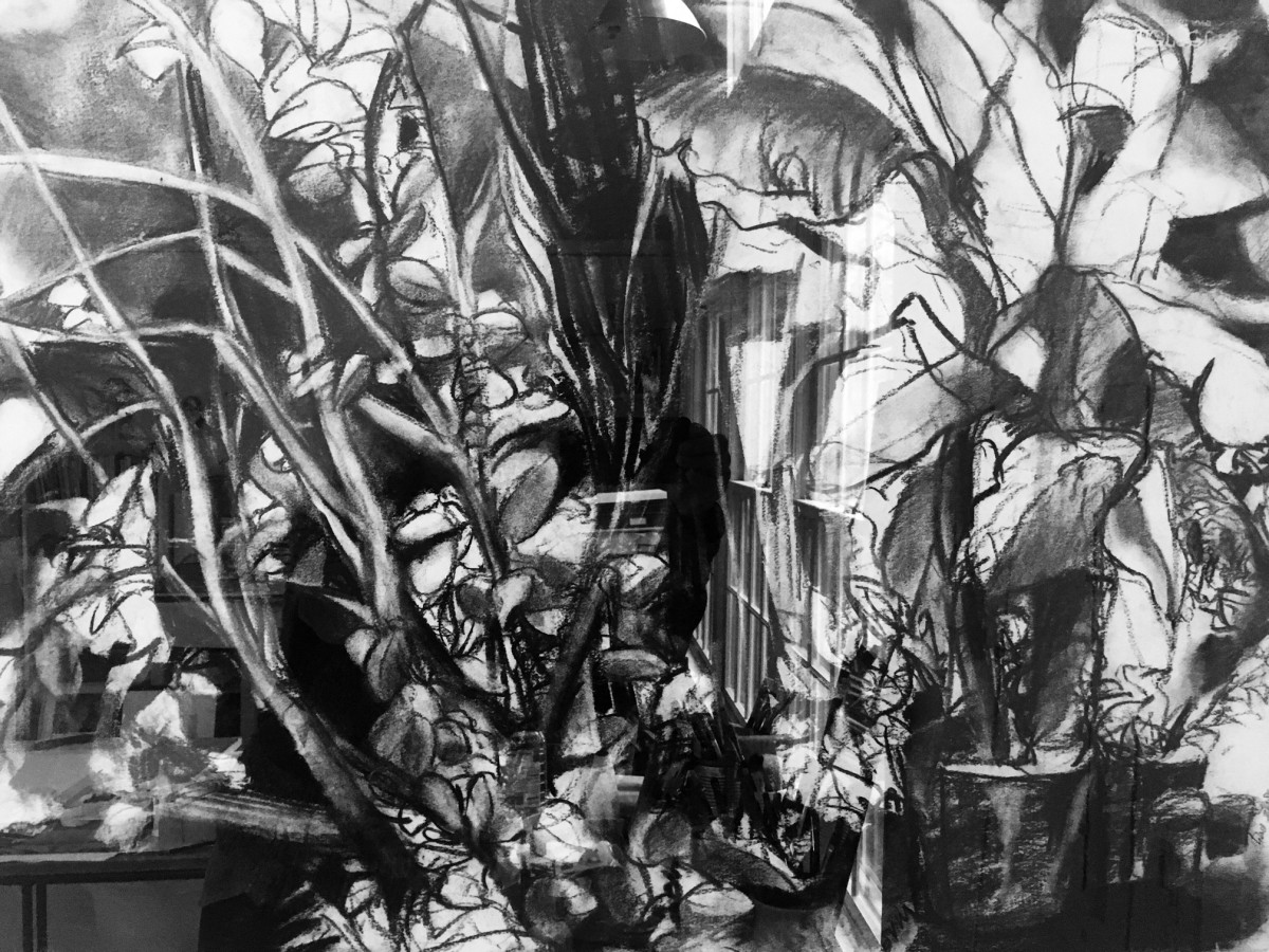 garden of delights by beth vendryes williams 