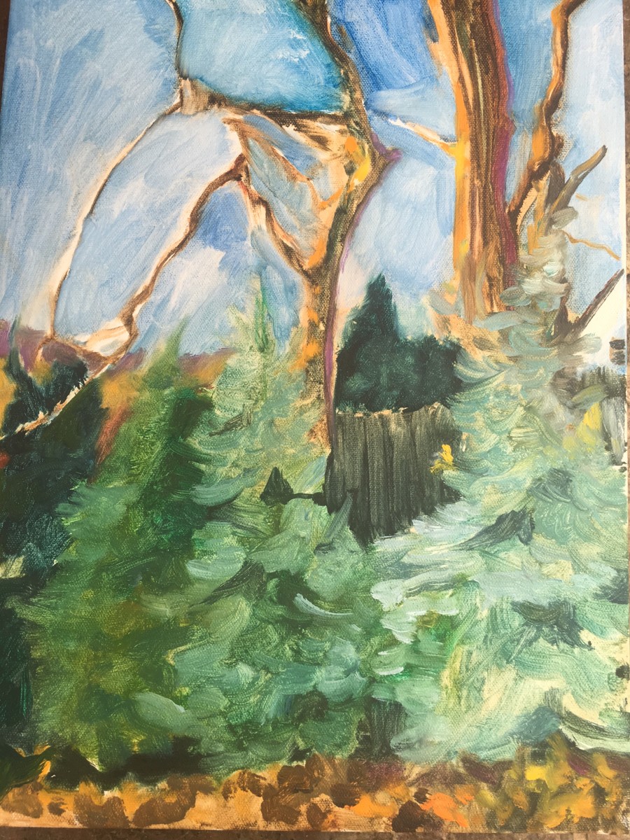 blue firs by beth vendryes williams 