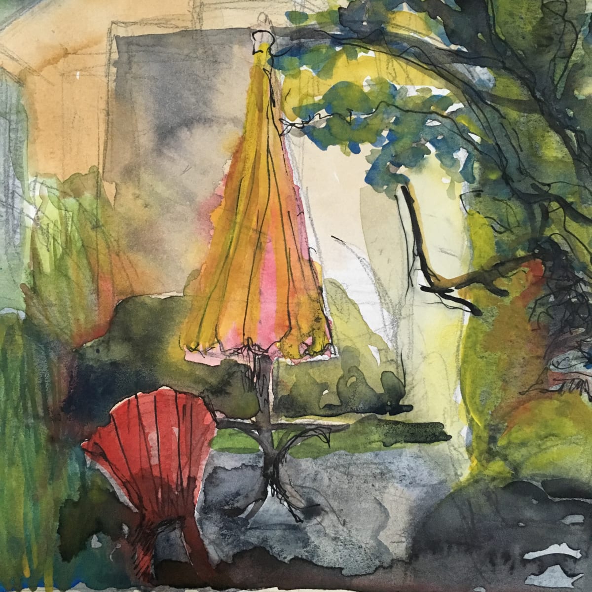 through morning  light  723 by beth vendryes williams 