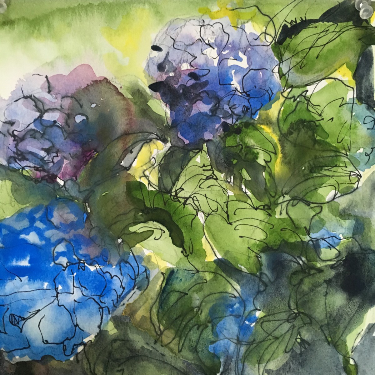 blue hydrangeas by beth vendryes williams 