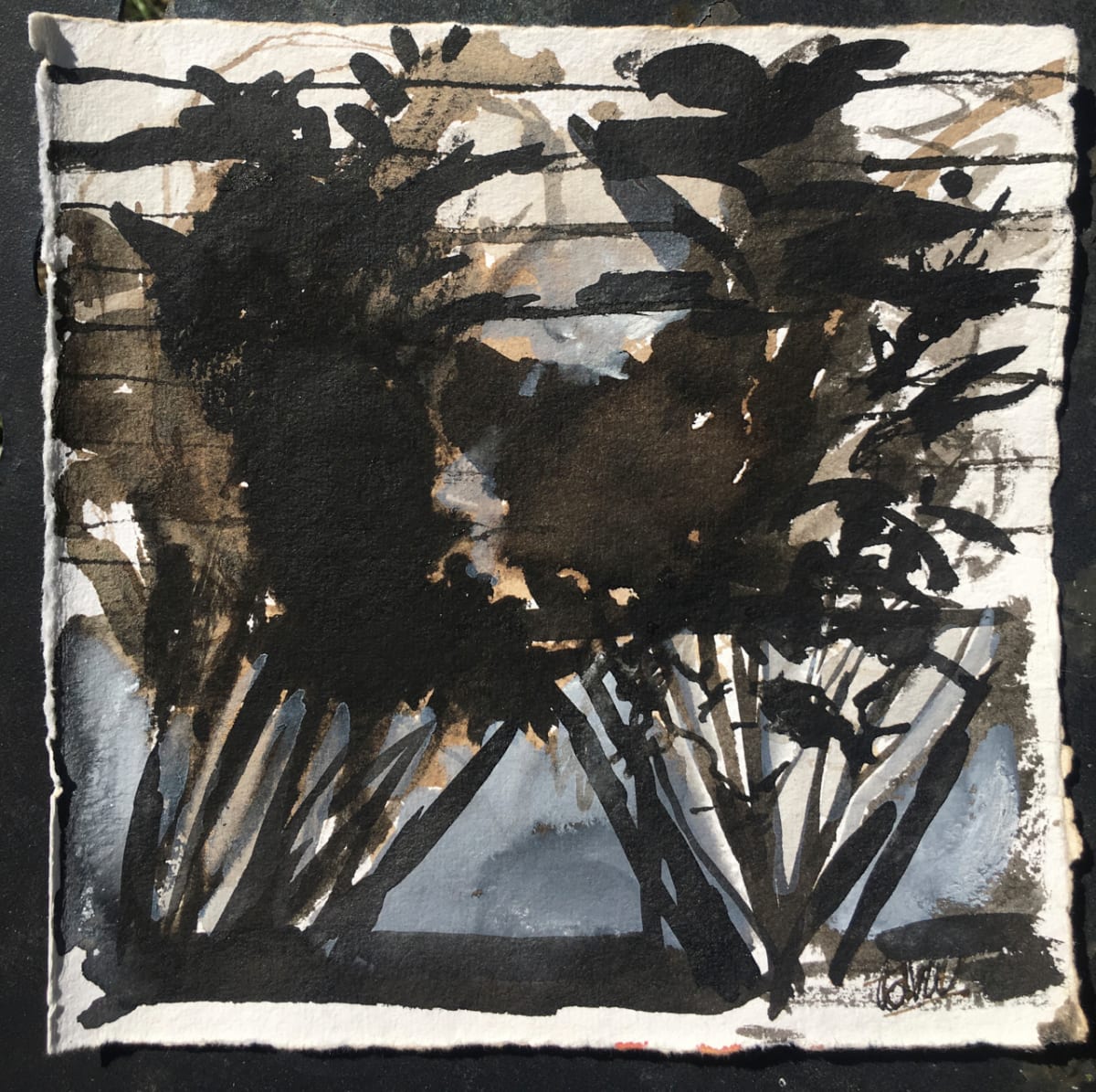 single_shadow by beth vendryes williams 