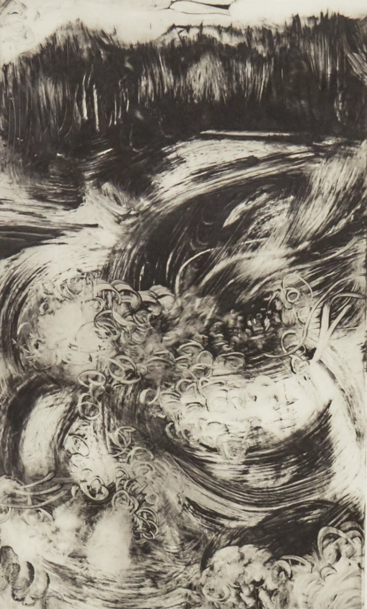 raging niagara by beth vendryes williams 