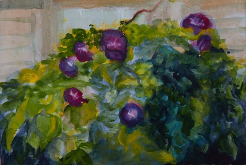 petunias by beth vendryes williams 