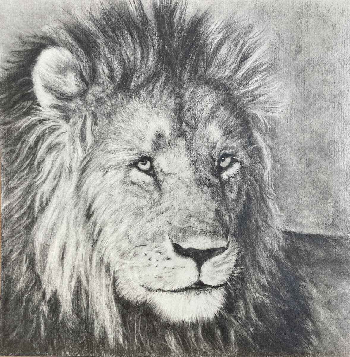 Tsavo Lion by Jennifer Winkelman, Image 1.