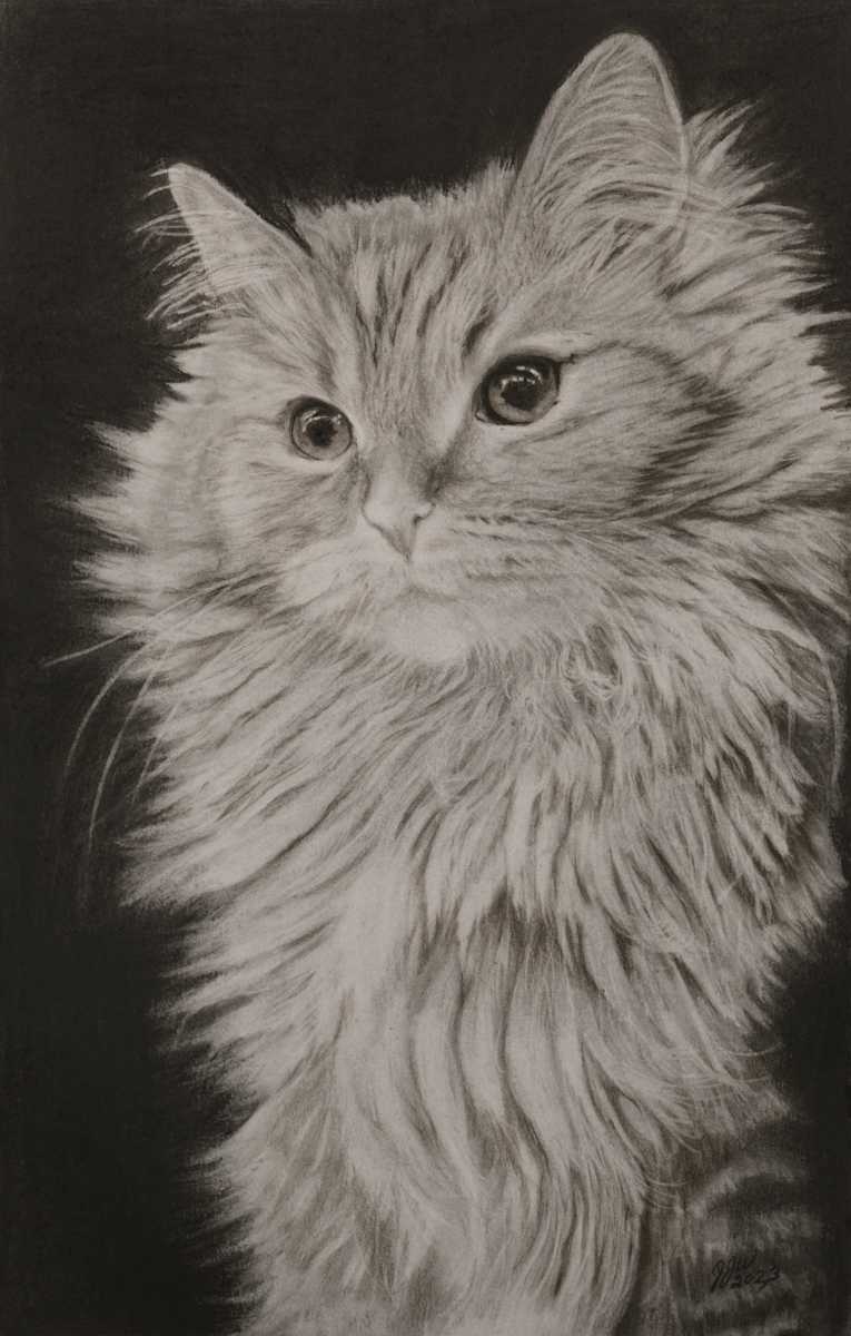 Anyone’s Cat by Jennifer Winkelman, Image 1.