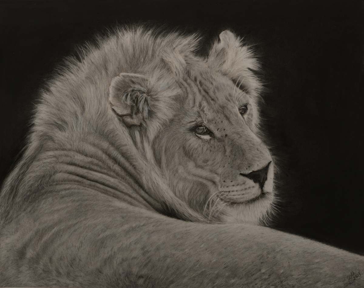 Lying Lion by Jennifer Winkelman, Image 1.