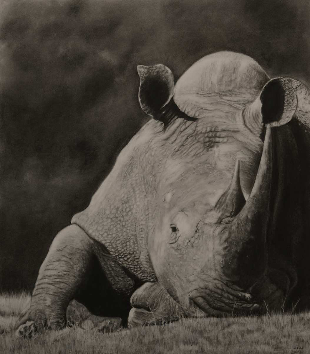 Resting Rhino by Jennifer Winkelman, Image 1.