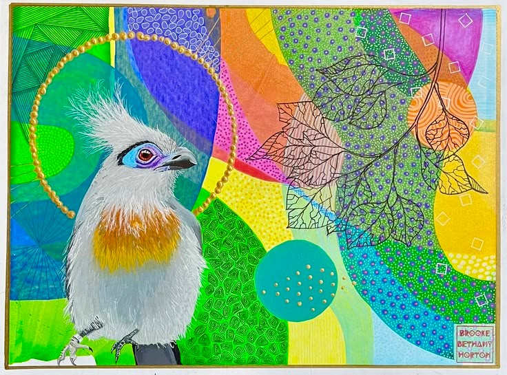 Crested Coua by Brooke Horton, Image 1.