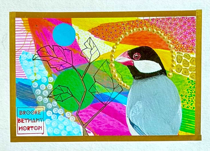 Java Sparrow by Brooke Horton, Image 1.