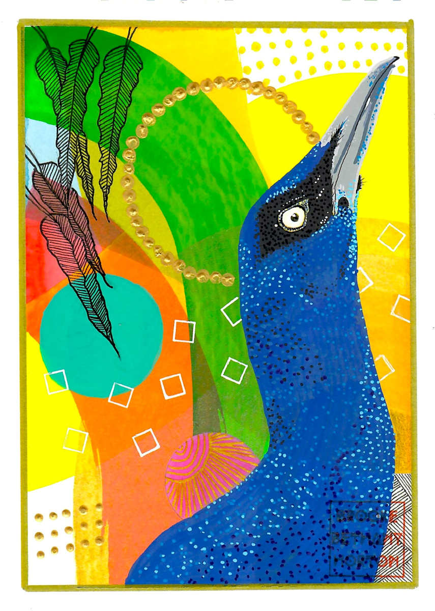 Long-Tailed Grackle by Brooke Horton, Image 1.