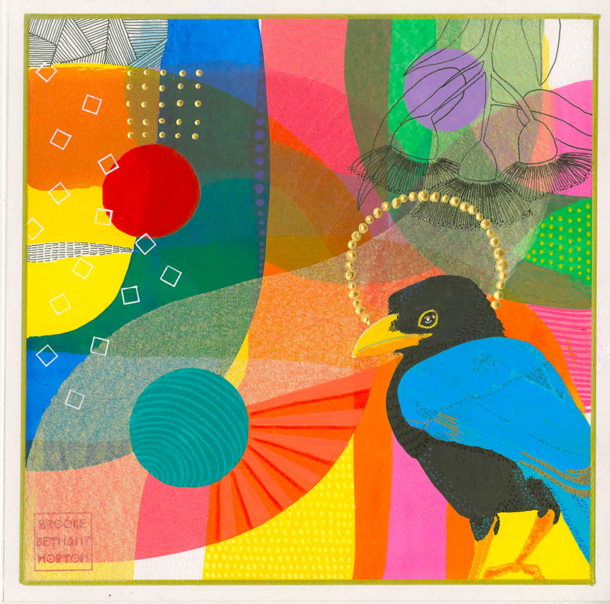 Yucatan Jay by Brooke Horton, Image 1.