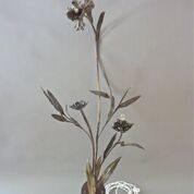 P1010750_vb6pto_11, Image 7.