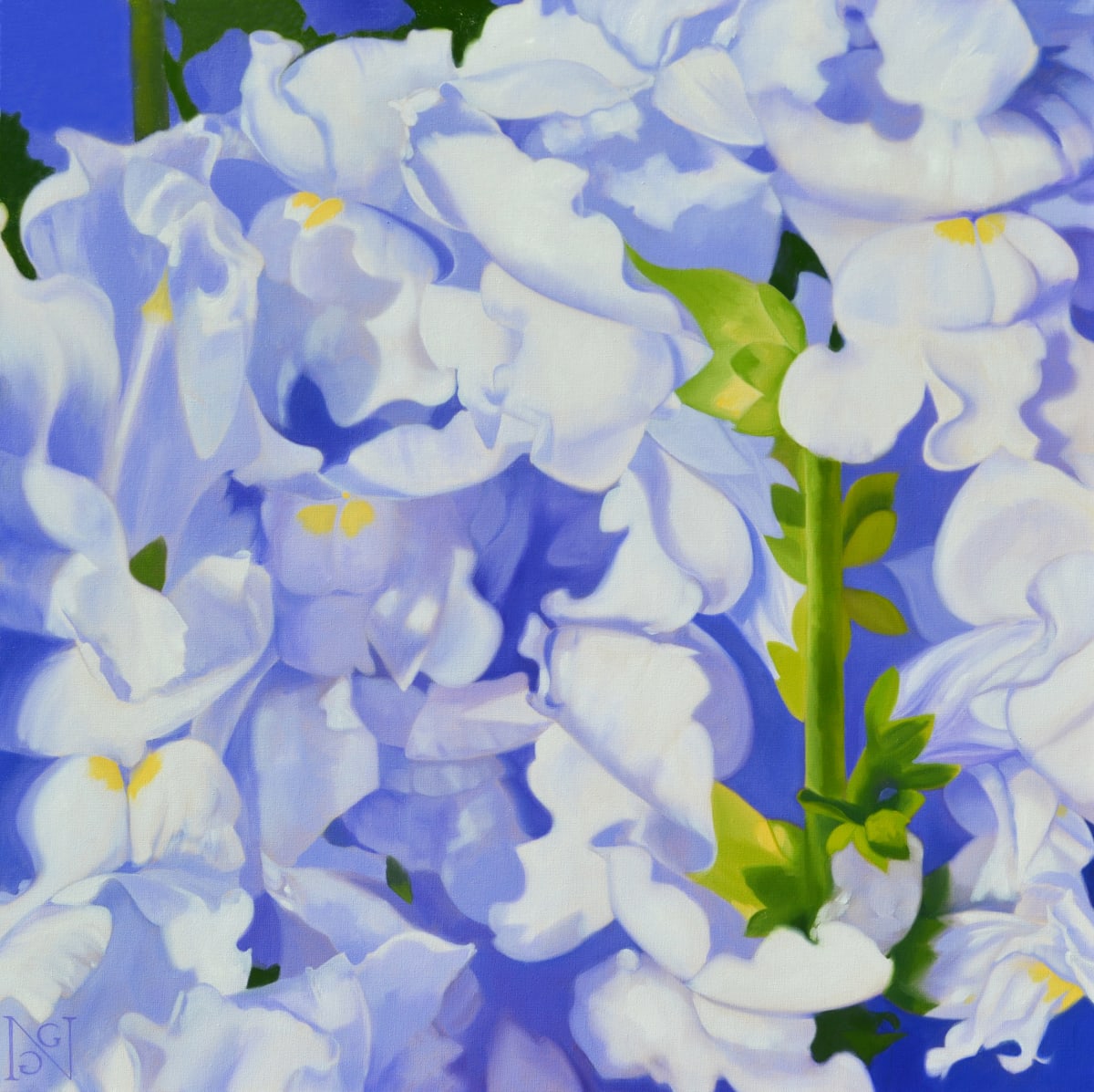 Celestial Snapdragons by Natalie George 