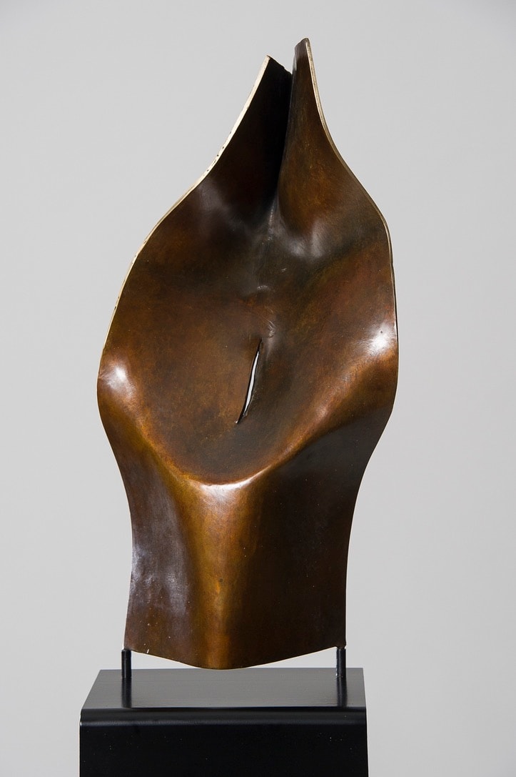 Torso 11 by Joe Gitterman 