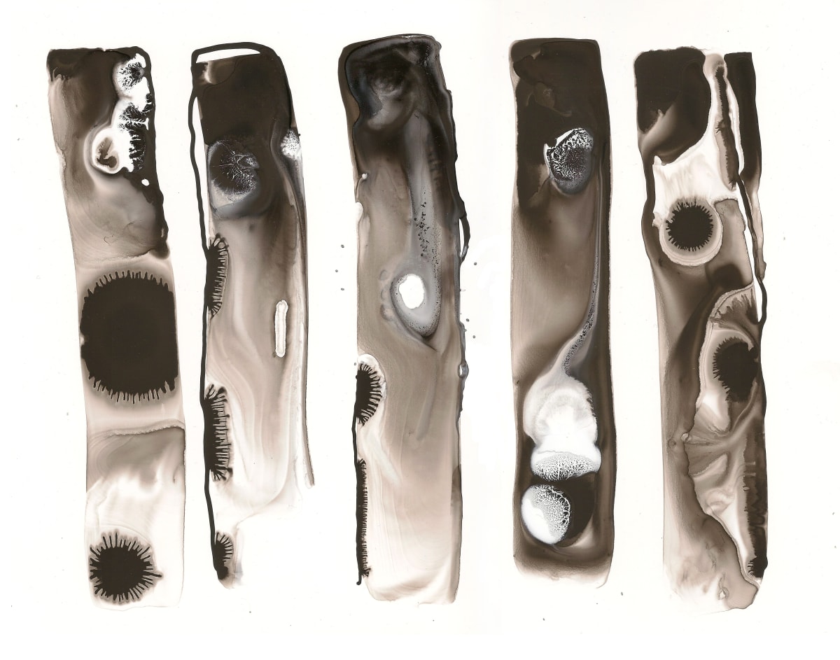 In the Beginning, study no. 01 by Meirav Ong 