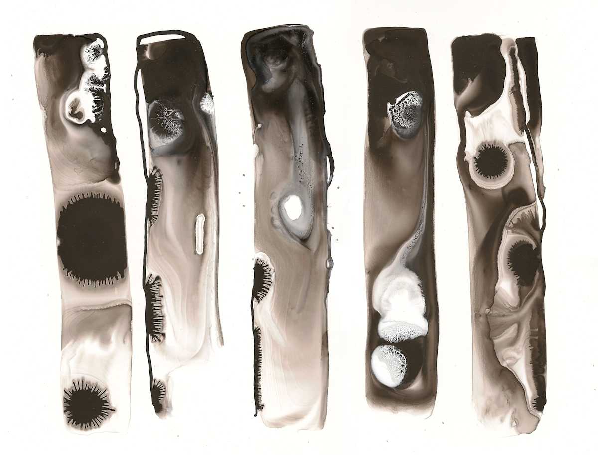 In the Beginning, study no. 01 by Meirav Ong, Image 1.