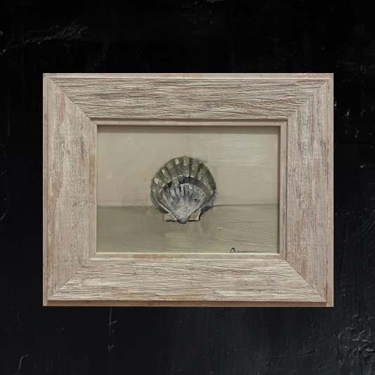 Single Shell 1 by Liz Amorosia, Image 1.