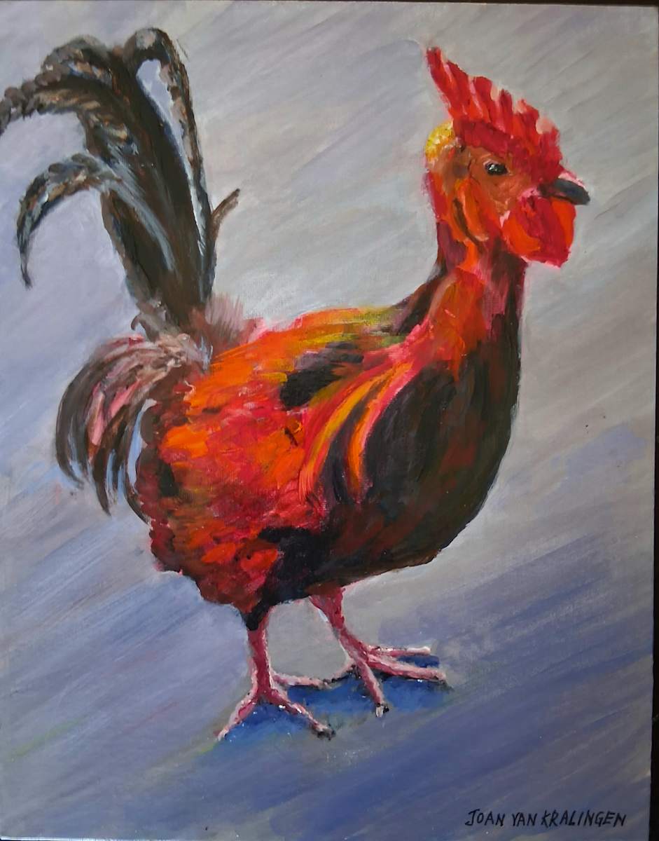 Hawaiian Rooster by Joan van Kralingen, Image 1.