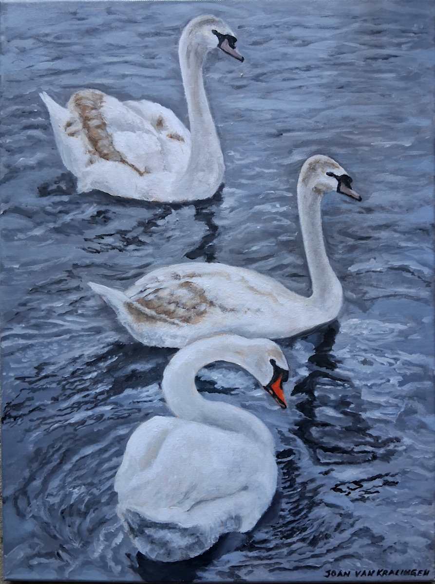 Swans in Kensington Park, London by Joan van Kralingen, Image 1.
