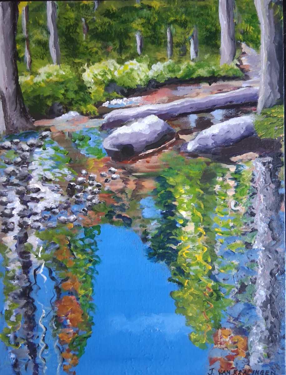 Reflections by Joan van Kralingen, Image 1.