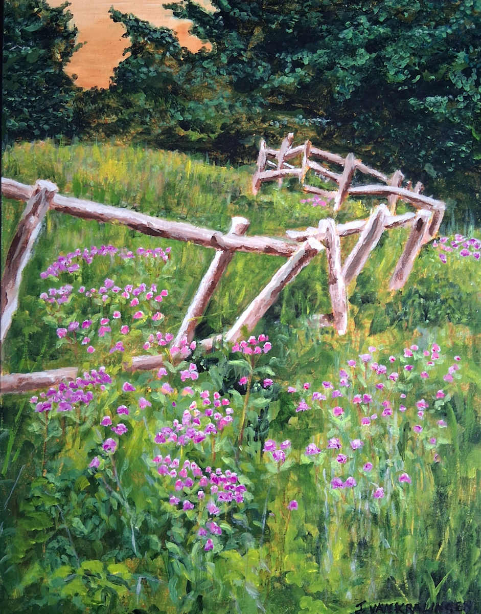 Wonky Fence by Joan van Kralingen, Image 1.