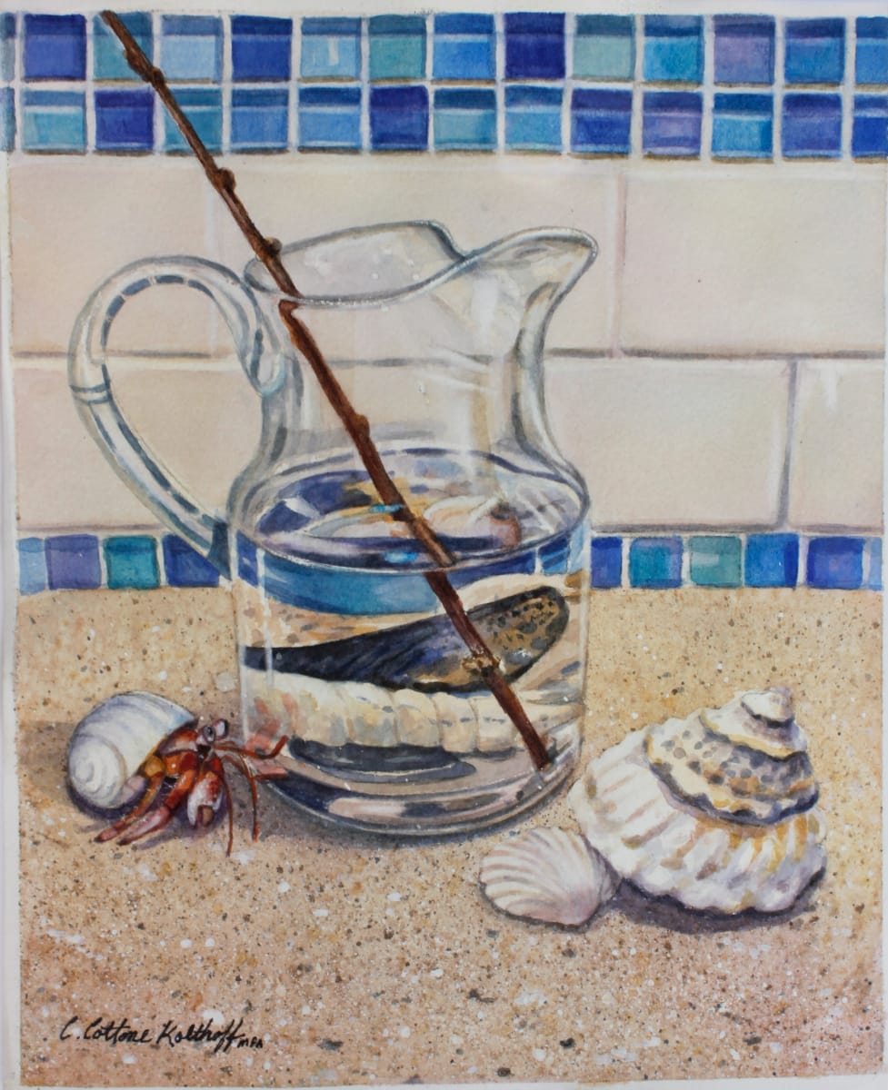 Pitcher and Hermit Crab Demo by Carol Cottone-Kolthoff 
