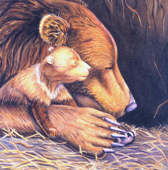 Mother Bear & Cub by Carol Cottone-Kolthoff 